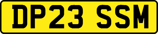 DP23SSM