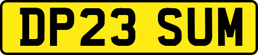DP23SUM