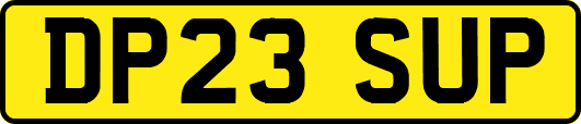 DP23SUP