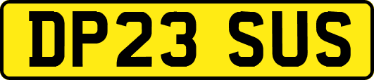 DP23SUS