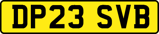 DP23SVB