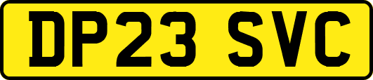DP23SVC