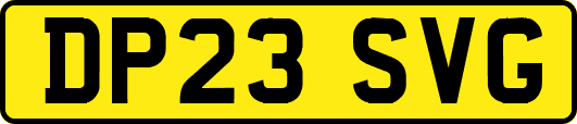 DP23SVG