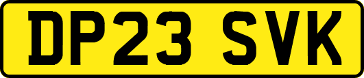 DP23SVK