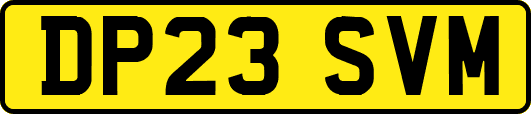 DP23SVM