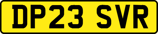 DP23SVR