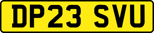 DP23SVU