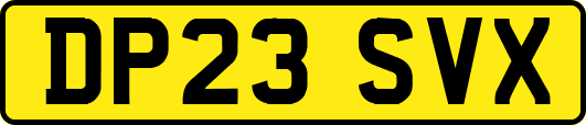 DP23SVX
