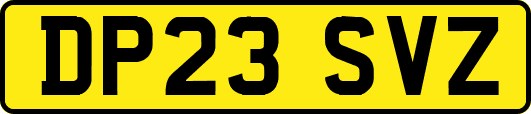 DP23SVZ