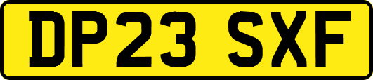 DP23SXF