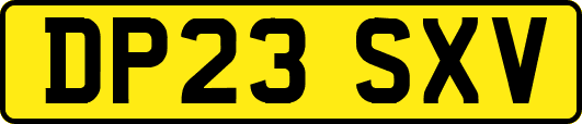 DP23SXV