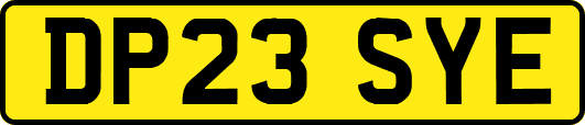DP23SYE