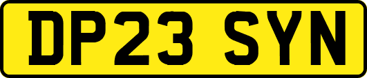 DP23SYN