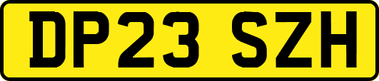 DP23SZH