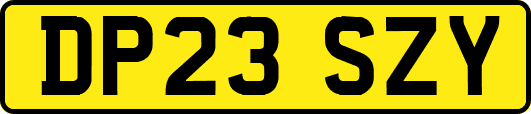 DP23SZY