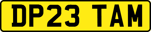 DP23TAM