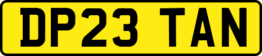 DP23TAN