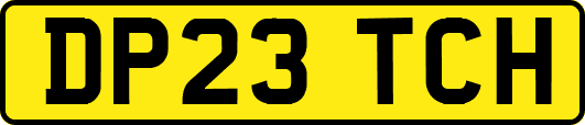 DP23TCH