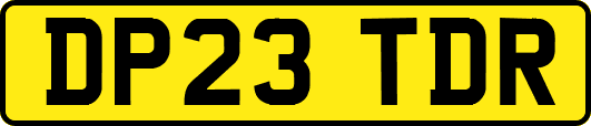 DP23TDR
