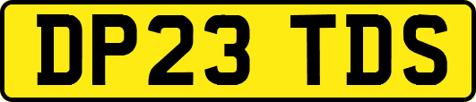 DP23TDS