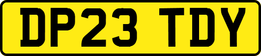 DP23TDY