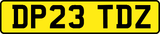 DP23TDZ