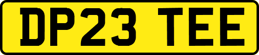DP23TEE