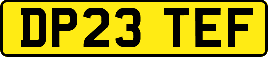 DP23TEF