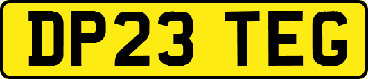 DP23TEG