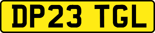 DP23TGL