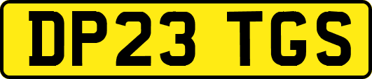 DP23TGS