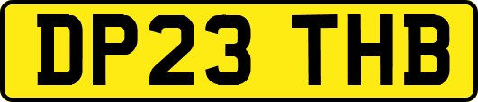 DP23THB