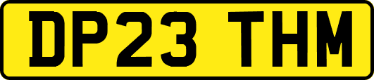 DP23THM