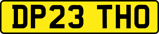 DP23THO