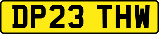 DP23THW