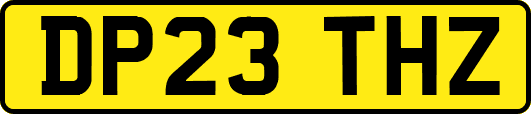 DP23THZ