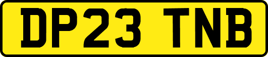 DP23TNB