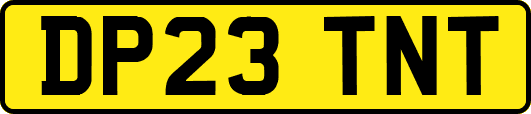 DP23TNT