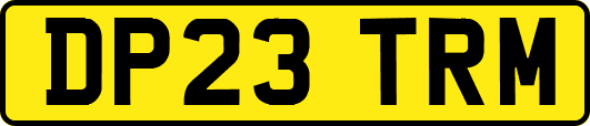 DP23TRM