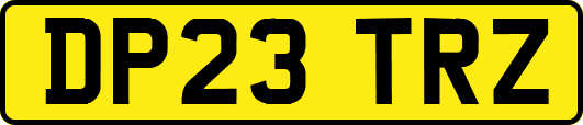 DP23TRZ