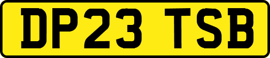 DP23TSB