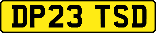 DP23TSD
