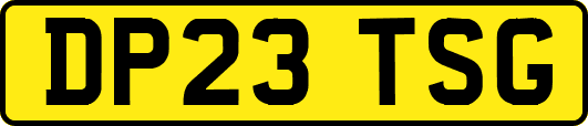 DP23TSG