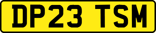 DP23TSM
