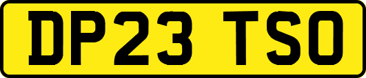 DP23TSO