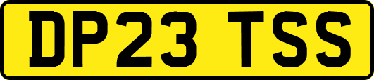DP23TSS