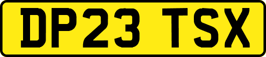 DP23TSX