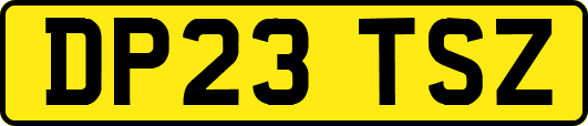 DP23TSZ