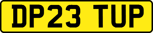 DP23TUP