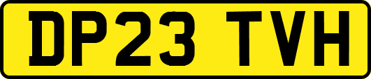 DP23TVH